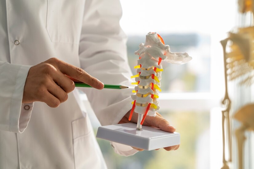 a doctor explaining spine anatomy