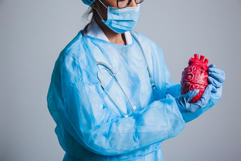 an image of a model heart in a surgeon’s hands