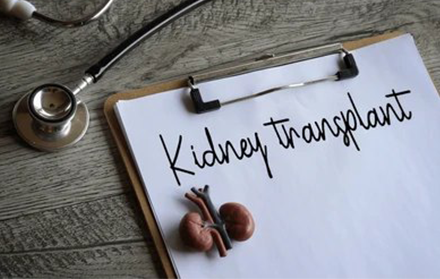 Step-by-Step Guide for the Kidney Transplant Process