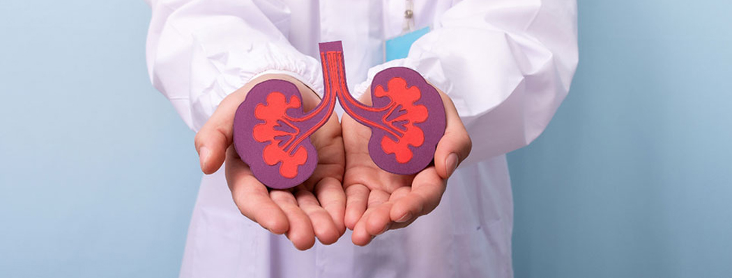 The importance of Kidney Transplant in treating End Stage renal disease  
